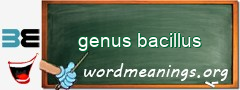 WordMeaning blackboard for genus bacillus